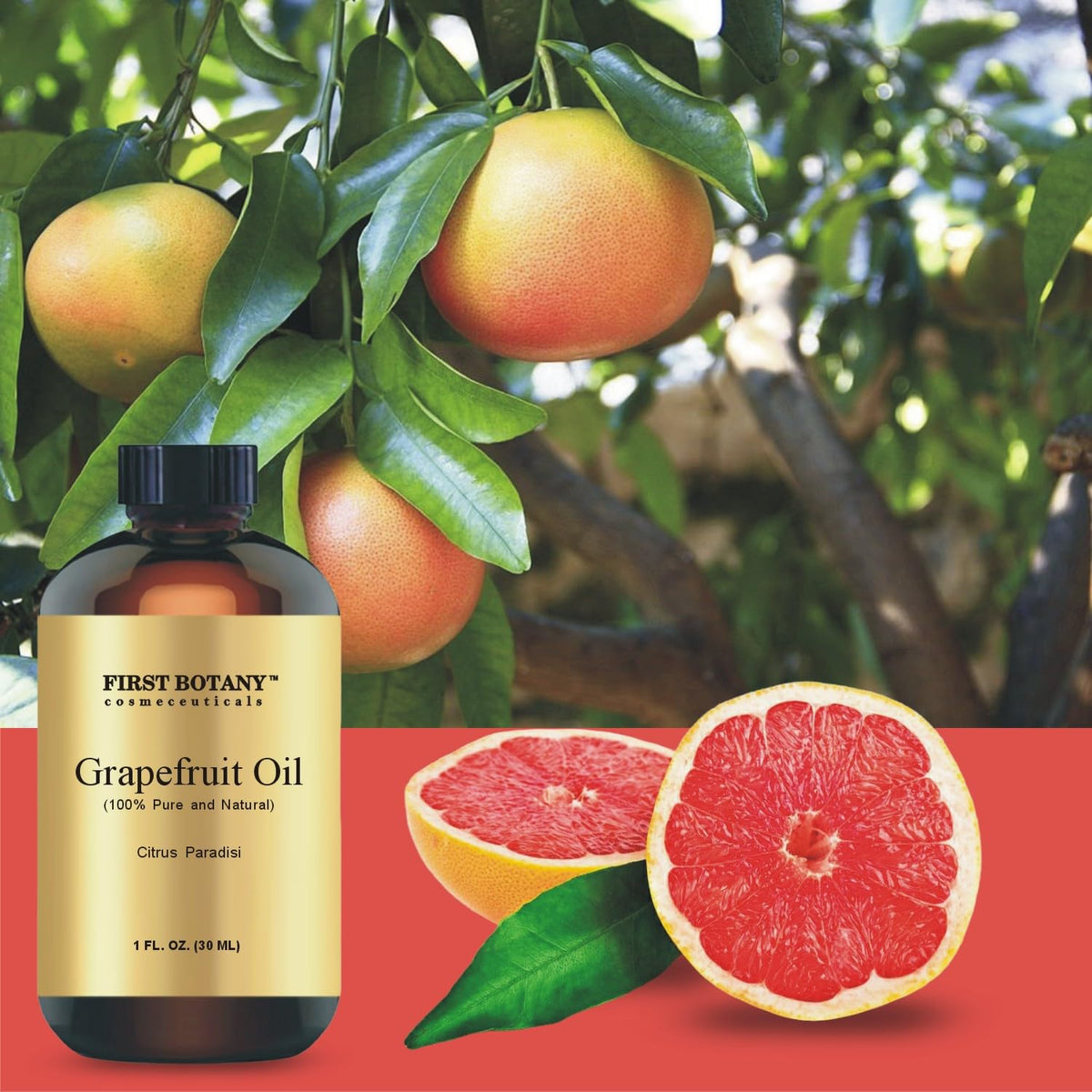 100% Pure Essential Oil - Premium Oil for Aromatherapy, Massage, Topical & Household Uses - 1 fl oz (Grapefruit)