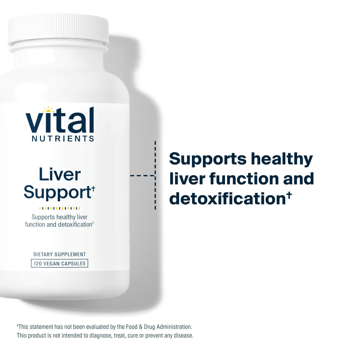 supplement products​Vital Nutrients Liver Support Milk Thistle and Curcumin - Vegan Supplement - Herbal Combination to Support Healthy Liver Function - JerryCherryUSA