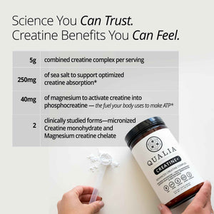 Qualia Creatine | Advanced Creatine Complex | 2 Sources + Magnesium | Optimized Absorption | Muscle Performance, Brain Function, & Healthy Aging (30 Servings)