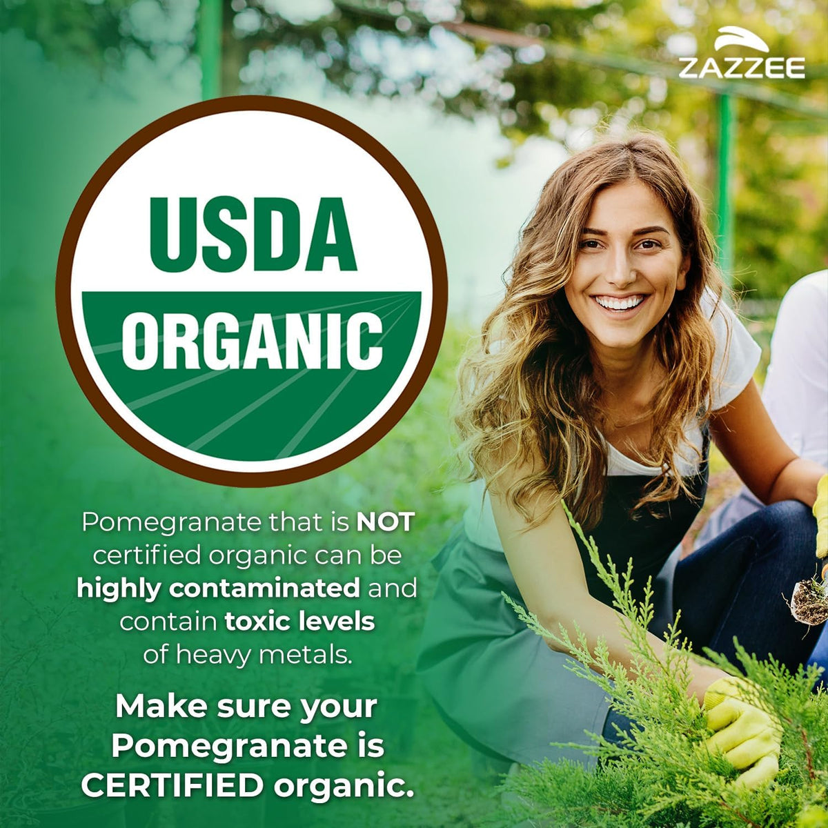 Zazzee USDA Organic Pomegranate 20:1 Extract, 50% Ellagic Acid 100 Capsules - Vegan, 3+ Month Supply, Punica Granatum, Antioxidant, Immune & Polyphenol Support, All-Natural, Non-GMO, Made in the USA