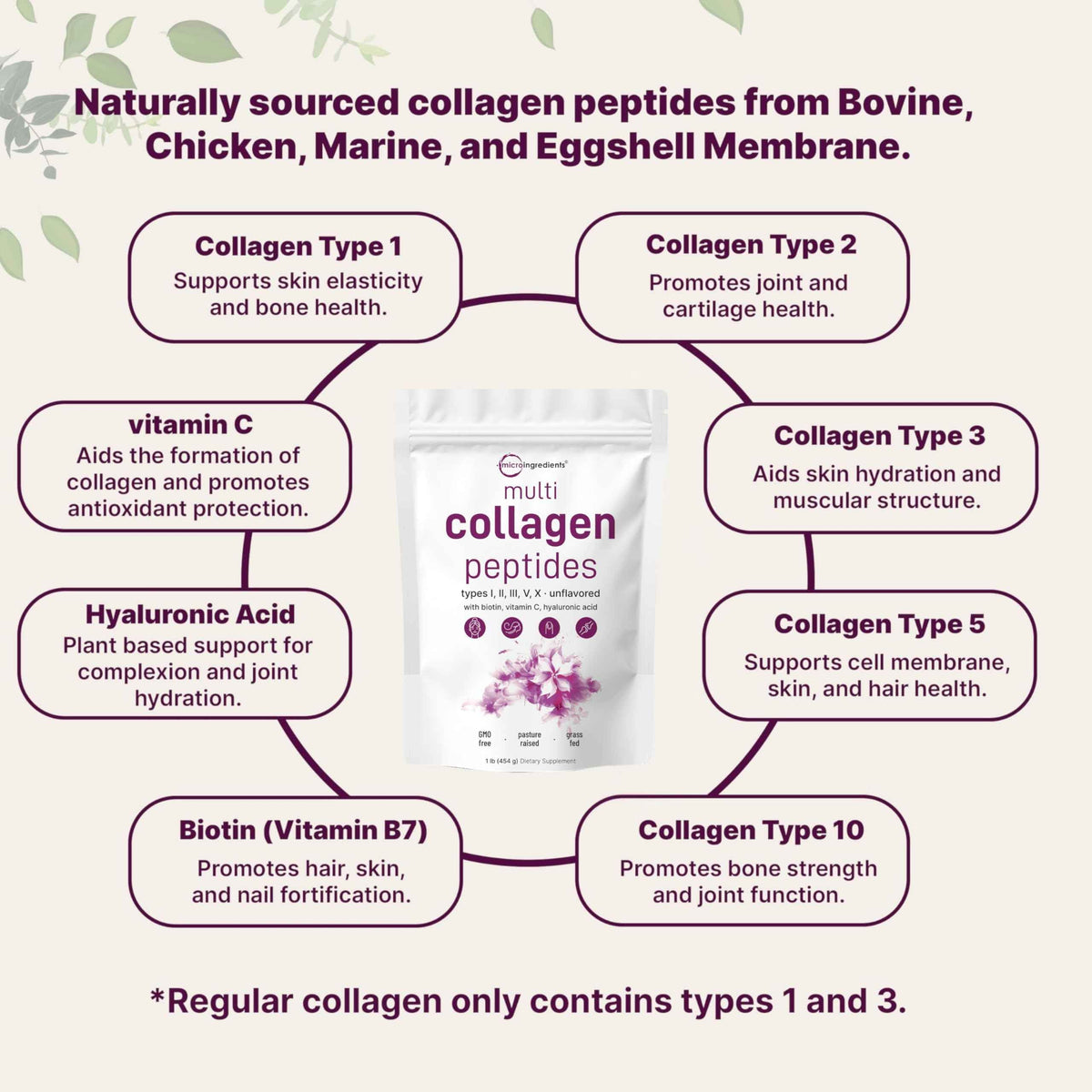 Micro Ingredients Multi Collagen Peptides Powder, 1lb – Hydrolyzed Type I,II,III,V,X with Biotin, Hyaluronic Acid, Vitamin C – Unflavored Collagen