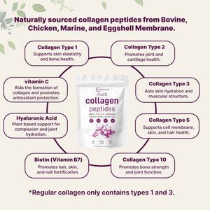 Micro Ingredients Multi Collagen Peptides Powder, 1lb – Hydrolyzed Type I,II,III,V,X with Biotin, Hyaluronic Acid, Vitamin C – Unflavored Collagen