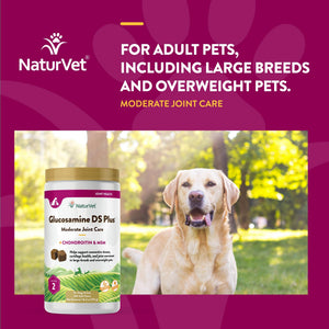 NaturVet – Glucosamine DS Plus - Level 2 Moderate Care – Supports Healthy Hip & Joint Function – Enhanced with Glucosamine, MSM & Chondroitin – for Dogs & Cats – 240 Soft Chews NaturVetBuy Supplements Australia