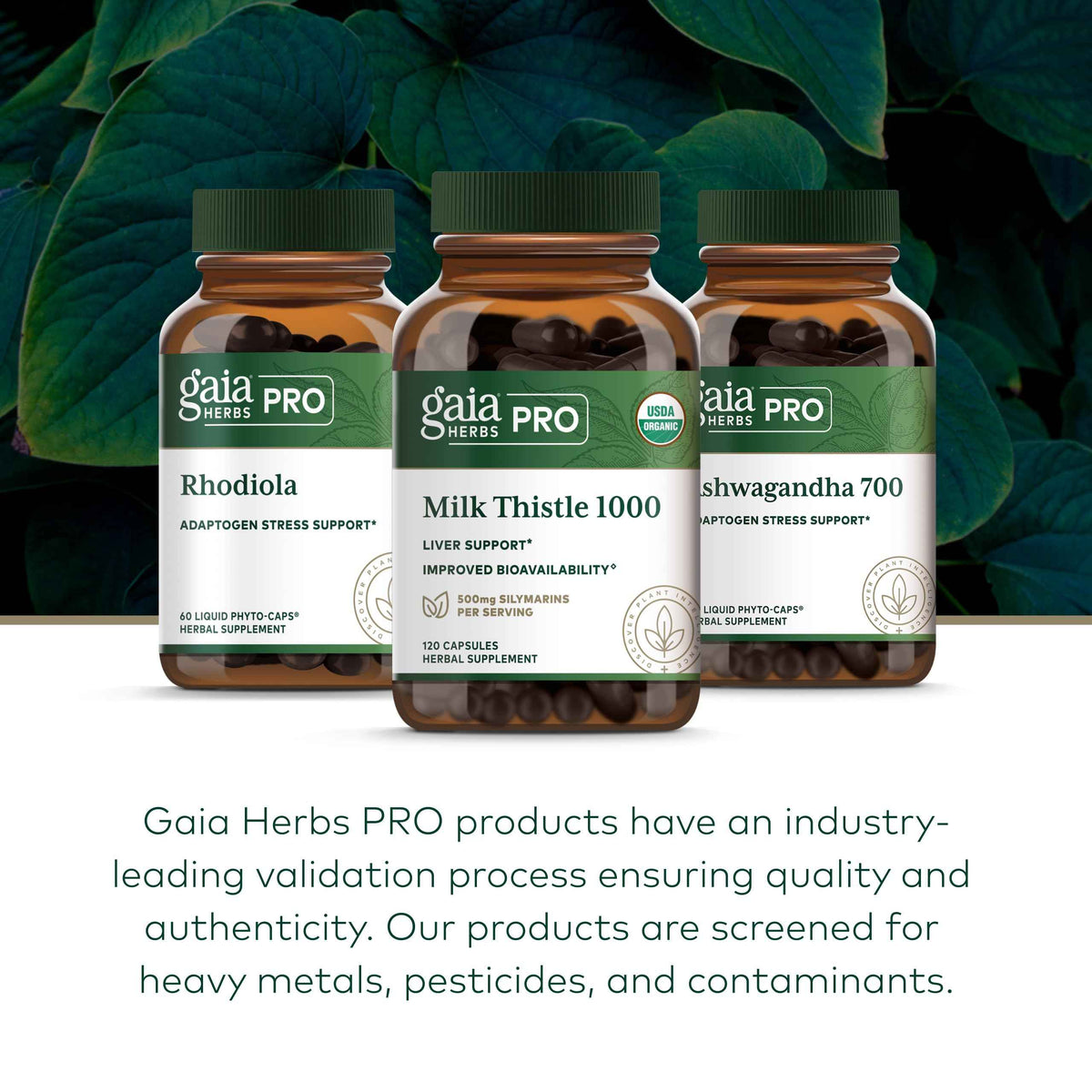 GAIA HERBS PRO Milk Thistle 1000 - Liver Health Support Supplement* - Liver Cell Health Supplement* with Silactive Milk Thistle Fruit Extract -