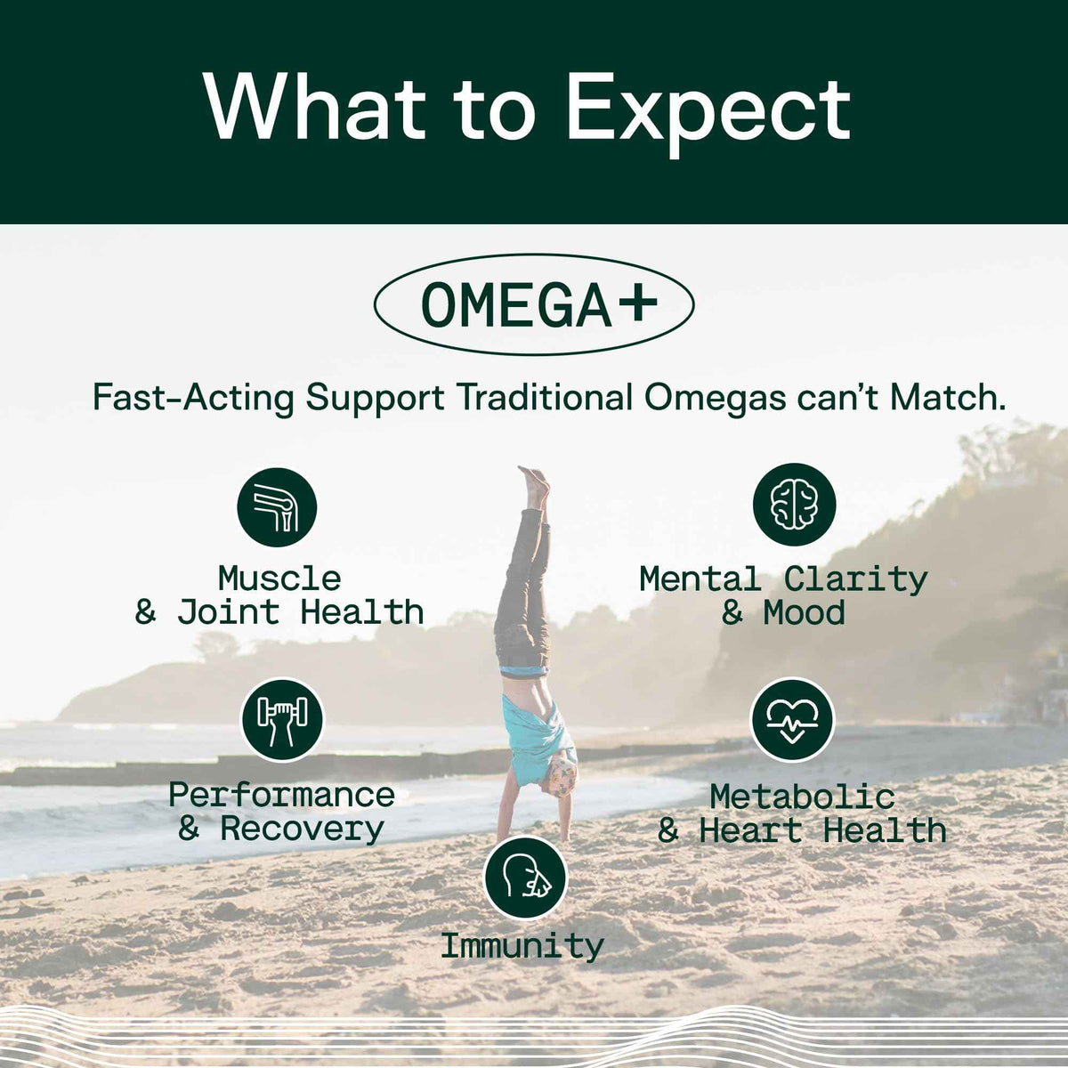 Adapt Naturals Omega 3 Fish Oil Supplement with Bioavailable Curcumin & Black Seed, 1500mg Fish Oil EPA DHA Omega 3 Fatty Acids to Support Joints, Muscles & Heart