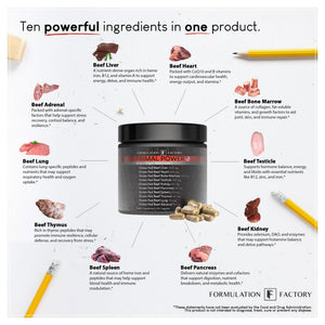 Formulation Factory Beef Liver Capsules - 10-in-1 Primal Powder Beef Organ Supplement for Men & Women with Bone Marrow & Beef Testicle - Grass Fed Ancestral Health - 120 Capsules, 2 Month Supply Formulation FactoryBuy Supplements Australia