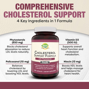 Advanced Cholesterol Health Complex with Plant Sterols. Cholesterol & Lipid Support Supplement for Healthy Heart & Cholesterol Levels for Men & Women. 120 Capsules RHP buy supplements Au